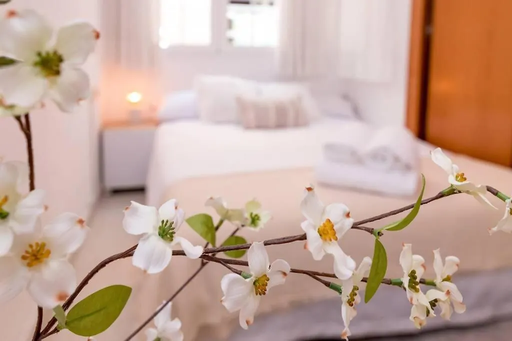 Plaza De La Merced Historic Center Malaga Apartment